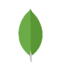 MongoDB