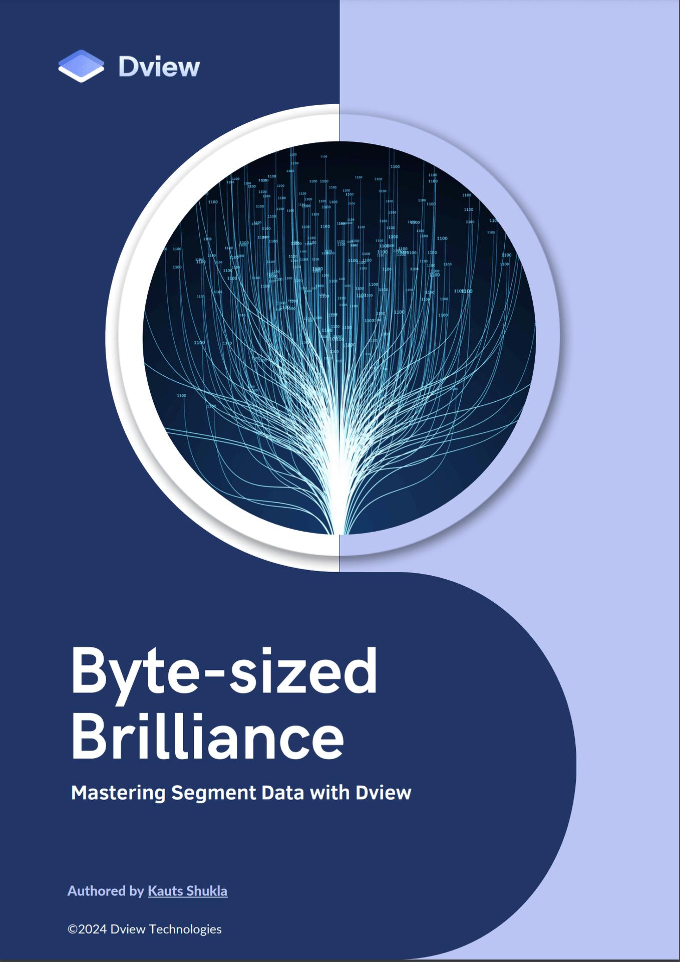 Master SaaS Data Management with Dview whitepaper cover